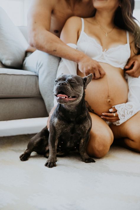 Home Maternity Photography With Dog, At Home Maternity Shoot With Dog, Maternity Photoshoot With Dog, Pregnancy Photos With Dog, Maternity With Dog, Maternity Pictures With Dog, Maternity Shoot With Dog, Pregnancy Announcement With Dogs, Maternity Photos With Dog