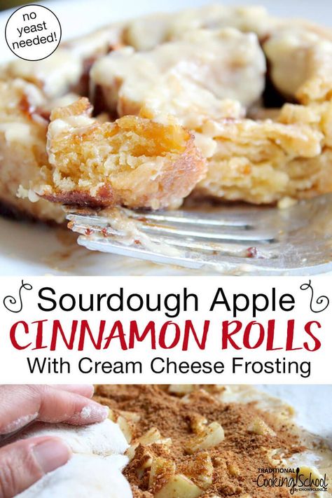 Soul-warming and belly-filling, these sourdough apple cinnamon rolls are fluffy, soft, and generously slathered with homemade cream cheese frosting. No yeast required! #easy #recipe #sourdough #apple #cinnamonrolls Sourdough Basics, Homeschool Cooking, Sourdough Apple, Homemade Cream Cheese Frosting, Cinnamon Rolls With Cream Cheese, Cinnamon Rolls With Cream, Homemade Cream Cheese, Keto Cinnamon, Apple Cinnamon Rolls