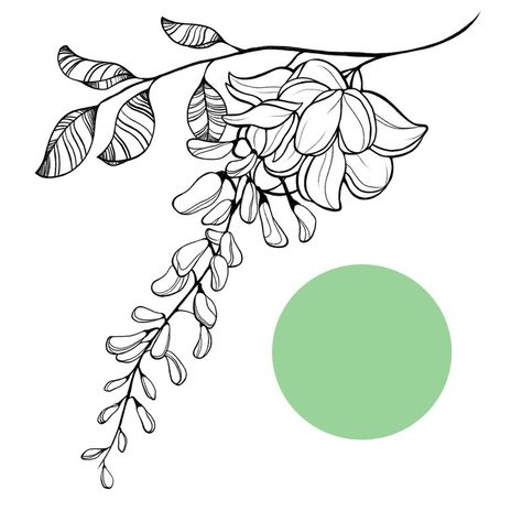 Wisteria Tattoo, Ivy Tattoo, Wisteria Design, Line Art Tattoos, Foot Tattoo, S Tattoo, Wisteria, Leg Tattoos, Flower Drawing