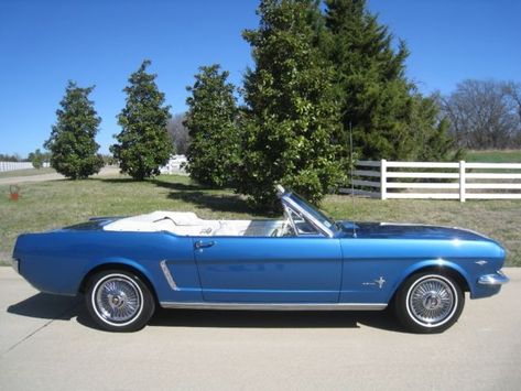 1964 1/2 Ford Mustang Convertible 289 V8 Auto w/ Power Top / AC & Power Brakes for sale - Ford Mustang Convertible 1965 for sale in Dallas, Texas, United States 65 Mustang Convertible, 1964 Ford Mustang, Convertible Cars, 65 Mustang, Car Man Cave, Mustang For Sale, Ford Mustang For Sale, Ford Mustang Convertible, Classic Mustang