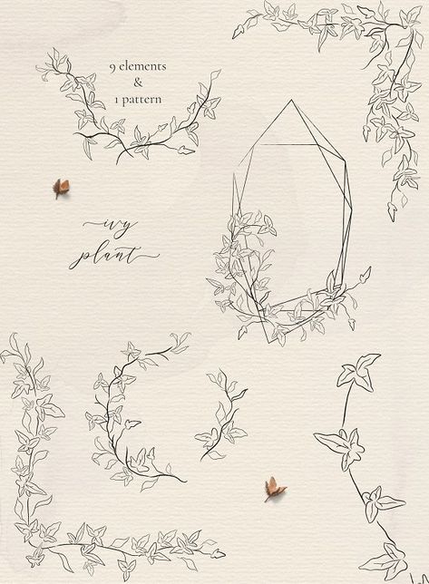 Line drawing Ivy plant illustrations by Olya.Creative on @creativemarket Ivy Line Tattoo, Ivy Tatoos, Diphylleia Grayi, July Tattoo, Ephemeral Tattoo, Ivy Tattoo, Ivy Flower, Line Art Svg, Vine Drawing