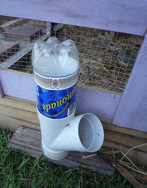 DIY PVC Soda Bottle Chicken Waterer | Easy To Build Chicken Watering Station Diy Chicken Waterer, Pvc Chicken Waterer, Chicken Watering System, Chicken Waterer Diy, Chicken Feeder Diy, Urban Chicken Farming, Portable Chicken Coop, Chicken Waterer, Chicken Tractors