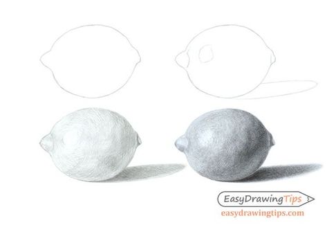 Drawings Of Lemons, Lemon Pencil Drawing, Lemon Drawing Realistic, How To Draw A Lemon, Draw Lemon, Lemon Sketch, Drawing Lemon, Lemonade Video, Lemon Drawing