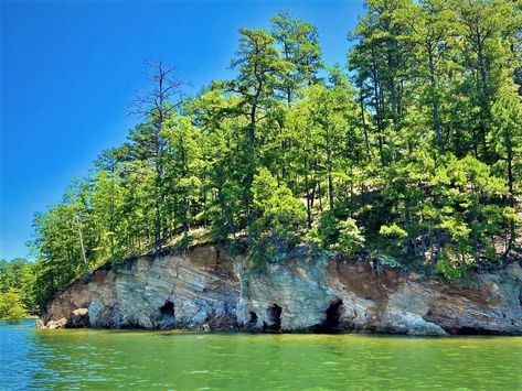 Photo Essay: Island Adventures on Lake Ouachita | Arkansas State Parks Lake Ouachita Arkansas, Lake Ouachita, Arkansas Road Trip, Waterfront Cabins, Island Lake, Arkansas State, Kayak Tours, Adventure Bucket List, Waterfront Property