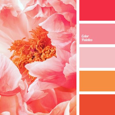 Color Palette #4432 In Color Balance, Drawing Resources, Flamingo Color, Orange Pink Color, Website Color Palette, Color Palette Ideas, Wedding Color Combos, Wall Living Room, Orange Color Palettes