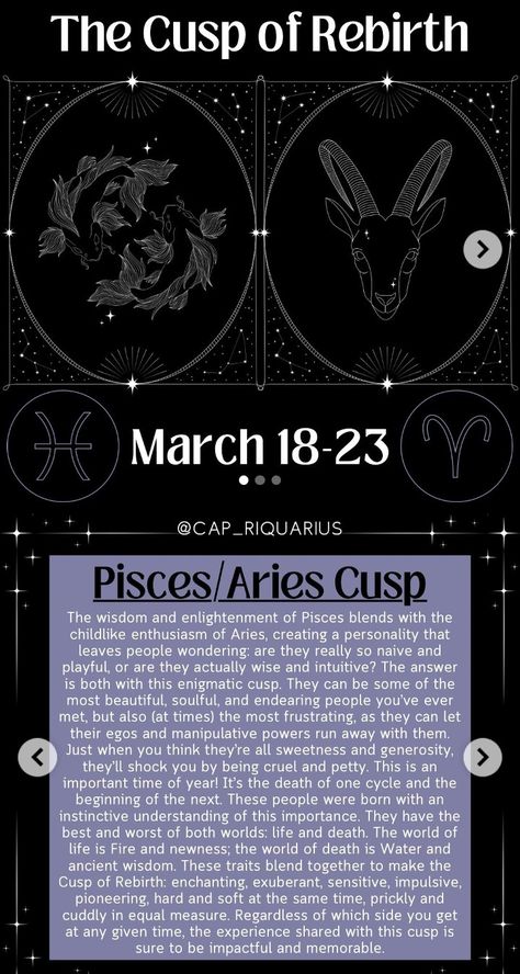 Aries Pisces Cusp, Teddy Bear Sketch, Bear Sketch, Aries And Pisces, Aries Pisces, Astrology Planets, Zodiac Signs Astrology, Zodiac Signs, Astrology