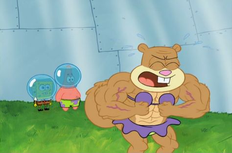 sandy showing off her muscles Sandy Spongebob, Spongebob And Sandy, Sandy Cheeks, Spongebob Patrick, Spongebob Wallpaper, Sports Memes, Spongebob Memes, Gym Memes, Funny Wallpaper