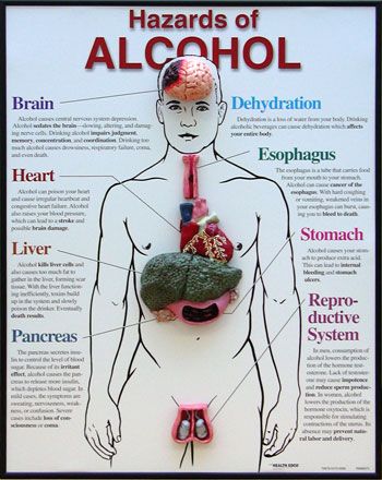 Alcohol Quitting, Alcohol Effects On Body, Alcohol Effects, Alcohol Awareness, Alcohol Withdrawal, Giving Up Alcohol, Effects Of Alcohol, Medical Anatomy, The Liver