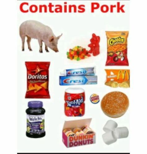 List of things that contain pork Dunkin' Donuts, Alpha Gal, Dunkin Donut, Doritos Nachos, Health Cleanse, Electric Foods, Health Shop, Roll Recipe, Healthy Mom