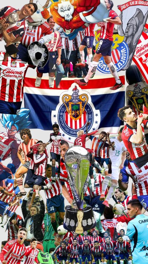 Chivas Wallpaper, Football Club, Beauty Care, Ariel, Madrid, Soccer, Football, Iphone, Pins