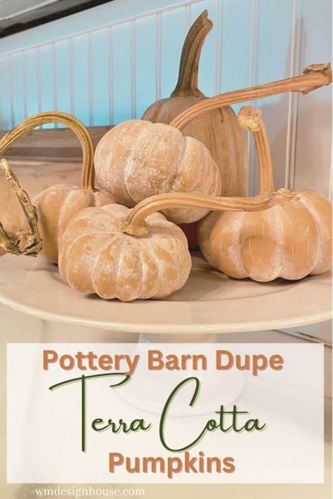 Terra Cotta Pumpkins, Pumpkin Pottery, Pottery Barn Pumpkin, Aging Terra Cotta Pots, Pumpkin Decorating Diy, Pottery Barn Style, Fall Pumpkin Crafts, Pumpkin Topiary, Pottery Barn Inspired