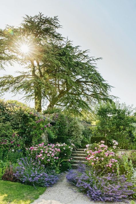 Atmospheric Landscape, Cottage Garden Design, British Garden, Beautiful Yards, Garden Park, Contemporary Garden, Wall Garden, Magical Garden, Garden Borders