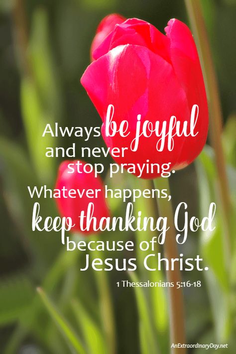 God not only loves us and cares for us... He's concerned about our JOY... Join me on the blog for a brief devotional on JOY. || Scripture Verse from 1 Thessalonians 5... Always be joyful and never stop praying. :: AnExtraordinaryDay.net Prayers For Joy And Happiness, Joy Scripture Quotes, Scripture For Joy, Bible Quotes About Joy, Joy Verses Scriptures, Bible Verses About Joy, Verses About Joy Scriptures, Scriptures On Joy, Verses About Joy