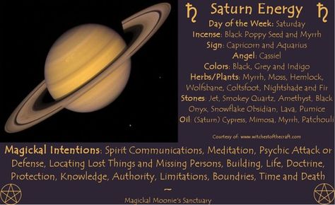 Saturn Energy Capricorn Aquarius Cusp, Spirit Communication, Black Poppy, Chinese Astrology, Capricorn And Aquarius, Snowflake Obsidian, Birth Chart, Planting Herbs, Astrology Zodiac