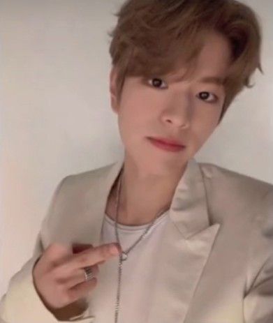 by cj.oneee on tiktok Seungmin Finger Heart, Kpop Middle Finger, Lee Know Middle Finger, Skz Middle Finger, Hyunjin Middle Finger, Mid Finger, Walking Meme, Pointing Fingers, Middle Fingers