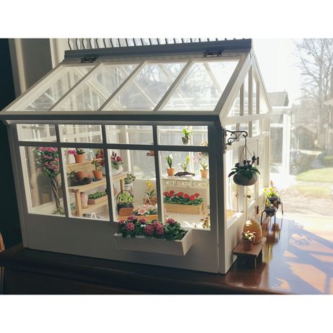 House Greenhouse, Miniature Greenhouse, Dolly Mixture, Clay Houses, Mini Greenhouse, Diy Greenhouse, Painting Plastic, Miniature Doll, Small Places