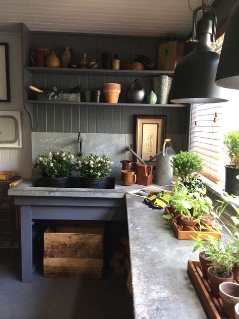 Potting Room, Garden Shed Interiors, Potting Benches, Shed Makeover, Shed Interior, Greenhouse Shed, Flower Room, Ceiling Treatments, Potting Sheds