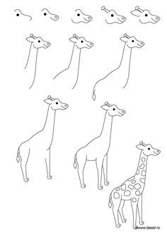 how to draw a giraffe Easy Giraffe Drawing, Giraffe Nails, Safari Nails, Tracing Pictures, Giraffe Crafts, Giraffe Drawing, Baby Learning Activities, Giraffe Art, Sketch Notes