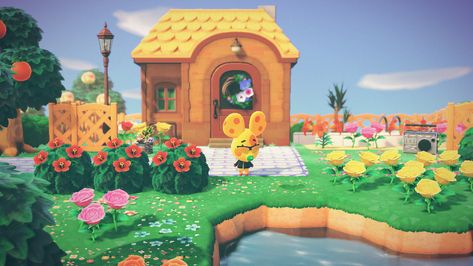 Chadder Animal Crossing, Animal Crossing Villagers, Float, Pool Float, Animal Crossing, Cute Pictures, Pool, Outdoor Decor, Animals