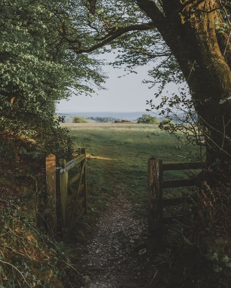 English Countryside Aesthetic, 2024 Moodboard, England Countryside, Countryside Landscape, And So It Begins, Country Walk, British Countryside, English Countryside, Foto Inspiration