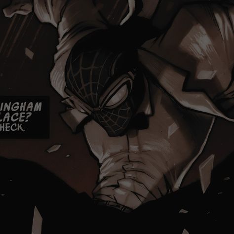 Noir Spiderman, Spiderman Noir, Spiderman Spider, Spiderman Comic, Marvel Deadpool, The Spider, Comic Panels, Spiderman Art, Ghost Rider