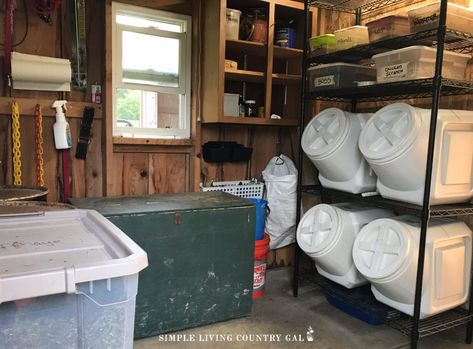 Keeping feed fresh and free of mice can be tricky on a homestead. Let's face it, any feed especially chicken feed is expensive so keeping it fresh is a big part of a hobby farm. These feed storage container ideas is a good place to start before you invest money in feed storage and set up your feed room. #feedstorage #chickenfeed #chickenfeedbin #chickencoop Feed Storage Ideas, Livestock Food Storage, Storage Container Ideas, Barn Organization Ideas, Horse Feed Storage, Horse Feed Room, Feed Room, Livestock Shelter, Tack Rooms