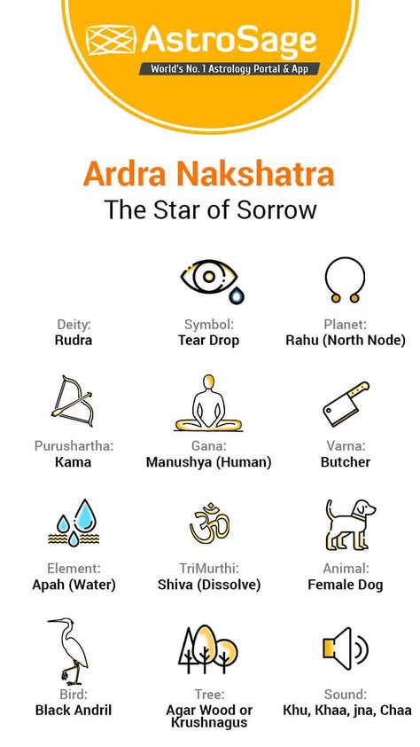 nakshatra and symbols animals - Google Search Nakshatra Symbols, Ardra Nakshatra, Ashwini Nakshatra, Symbols Animals, Dowsing Chart, Vedic Astrology Charts, Astrology Charts, Lucky Sign, Jyotish Astrology