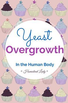 Yeast overgrowth in the human body and how to fix it naturally Yeast Cleanse, Yeast Overgrowth, Natural Antibiotic, Herbal Tinctures, Candida Diet, Natural Antibiotics, Holistic Remedies, Lifestyle Habits, The Human Body