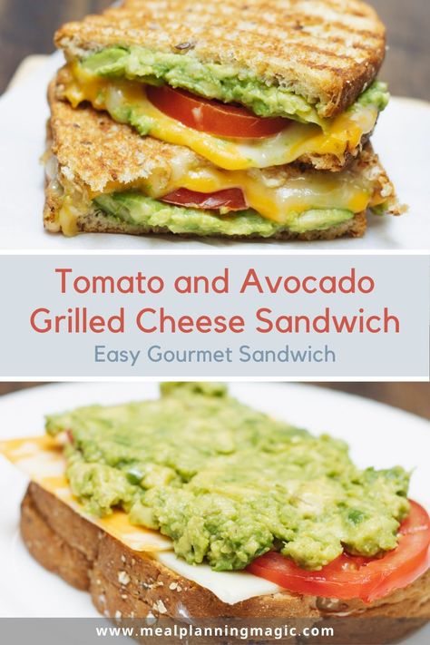 Tomato Avocado Grilled Cheese, Grilled Cheese Panini, Basic Grilled Cheese, Avocado Grilled Cheese, Cheese Panini, Avocado And Tomato, Panini Sandwich, Classic Grilled Cheese, Easy Sandwich Recipes