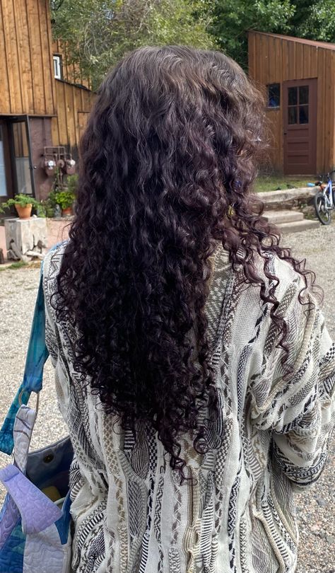 Dark Purple On Curly Hair, Purple Highlights In Curly Hair, Dyed Streaks In Hair Curly, Dyed Dark Curly Hair, Very Dark Purple Hair, Dark Dark Purple Hair, Purple Highlights Black Hair Curly Hair, Deep Purple Curly Hair, Curly Hair With Purple Highlights