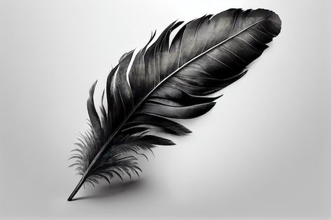 Black Swan Feathers, Raven Feather Drawing, Feather Reference, Plumas Tattoo, Dragon Tattoo Styles, Raven Feathers, Feather Photo, High Contrast Photos, Styrofoam Art