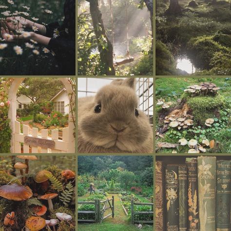 Mood Board Cottagecore, Bunny Moodboard, Woodland Aesthetic, Goblin Core, Aesthetic Collage, Rarity, Mood Boards, Mood Board, Animals