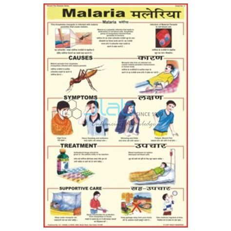 Malaria Chart India, Malaria Chart Manufacturer, Malaria Chart Suppliers and Malaria Chart Exporter in India Ambala Cantt, Physics Lab, Math Lab, Lab Instruments, Biology Labs, Therapy Equipment, Chemistry Labs, Caption For Friends, Handmade Birthday Gifts