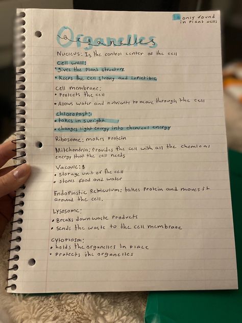 School Productivity, Ap Bio, Chemical Energy, Plant Structure, School Goals, Goals In Life, Dream Goals, Cell Membrane, Oceanography