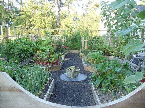 Potager Garden Layout, Wheel Garden, Allotment Ideas, Garden Design Pictures, Vege Garden, Veggie Gardens, Herb Gardening, Victory Garden, Potager Garden