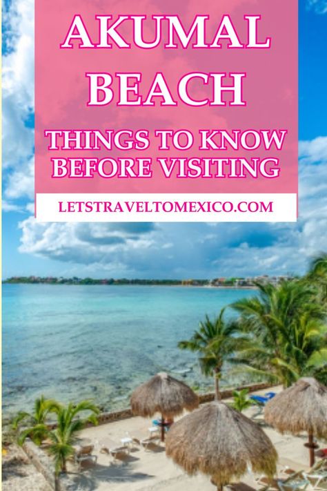 Planning a trip to Akumal Beach? Here’s what you need to know for a safe and fun visit to this beautiful Mexican destination. Akumal Beach, Beach Tips, Akumal Mexico, Mexico Beaches, Tulum Ruins, Explore Mexico, The Turtles, Mexico Resorts, Beach Road