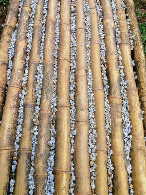 Acnh Bamboo Path, Bamboo Walkway Pathways, Bamboo Pathway, Bamboo Bridge, Chinese Bamboo Forest, Bamboo Grove Japan, Walking Path, Tiny Garden, Putrajaya