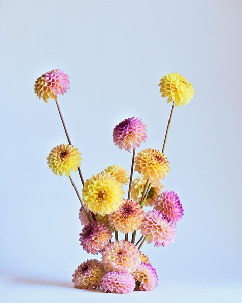 Dried Dahlia Flowers, Dahlia Arrangements Simple, Dahlia Arrangements, Dahlia Installation, Flowers September, Dahlia Market Bouquet, Dahlia Flower Arrangements, Whimsical Dahlia Bouquet, Flower Arragement