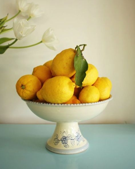 5 Simple Ways to Invite Spring Into Your Kitchen #kitchendesign #kitchenideas #kitchenremodel #fridge #kitcheninspiration #smeg #color #kitchendecor Bowl Of Lemons Centerpiece, Bowl Of Lemons Decor, Lemon Bowl Decor, Lemons Photography, Lemons In A Bowl, Bowl Of Lemons, A Bowl Full Of Lemons, Lemon Centerpieces, Lemon Bowl