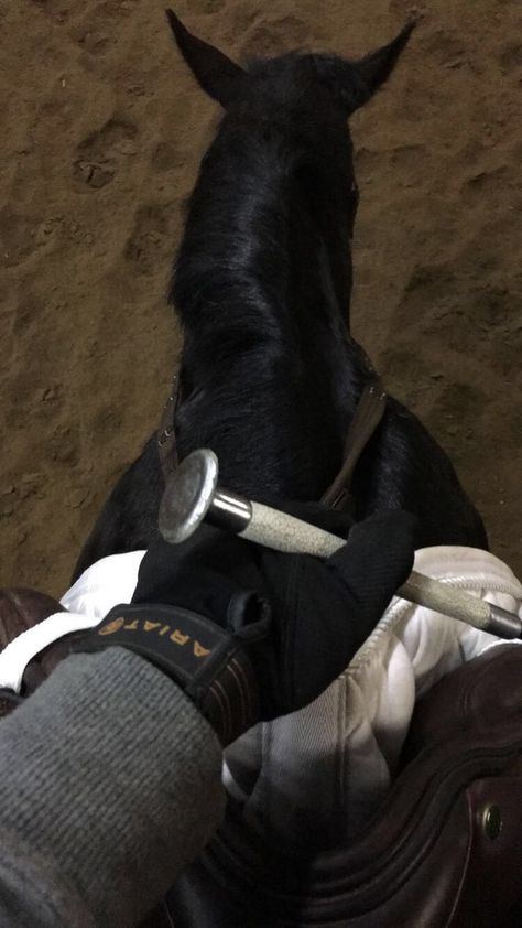 Horse Riding Dark Aesthetic, Dark Academia Equestrian, Equisterian Aesthetic, Riding A Horse Aesthetic, Equestrian Instagram Story, Horse Aesthetic Dark, Polo Sport Aesthetic, Dark Horse Aesthetic, Horse Instagram Story