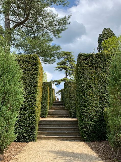 English Hedges Hedge Bushes, Living Structures, London Phone Booth, Flower Borders, Evergreen Hedge, Garden Hedges, Farm Garden, Classic Garden, Secret Gardens