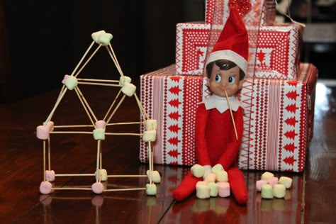 Elf on the Shelf | Busy Bugs Elf On The Shelf Marshmallow, Marshmallow Toothpick, Elf On The Shelf Activities, Elf On The Shelf Classroom, Elf Mischief, Holiday Quote, Christmas Elf Ideas, House Elf, Elf Shelf