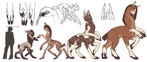 reality check - Could six-limbed creatures evolve from griffin or dragon to centaur? - Worldbuilding Stack Exchange Final Fantasy Xii, Humanoid Creatures, Fantasy Races, Pokemon Drawings, Creature Feature, Creature Concept Art, Amazing Art Painting, Monster Art, Creature Concept