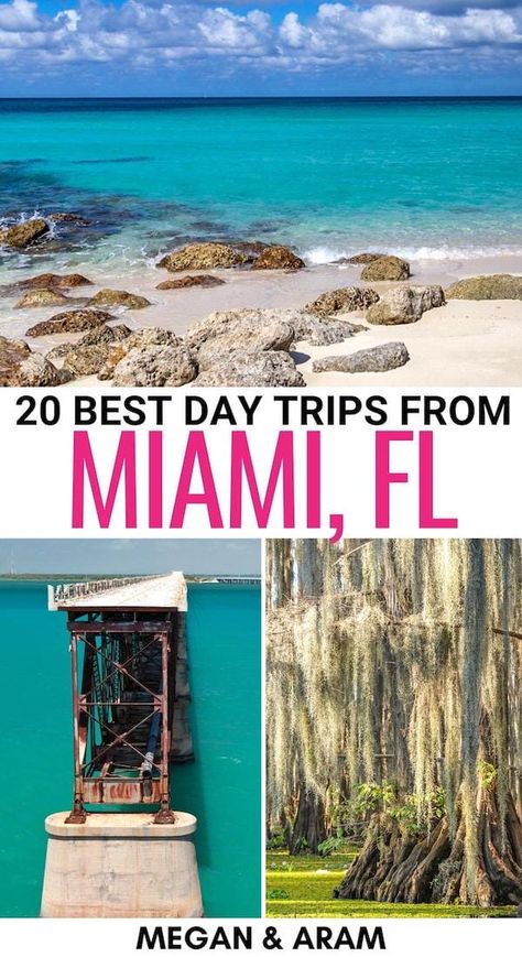 Trip To Miami, Southern Florida, Miami Travel, Everglades National Park, Florida City, Clearwater Florida, The Best Day, Florida Vacation, Tampa Florida