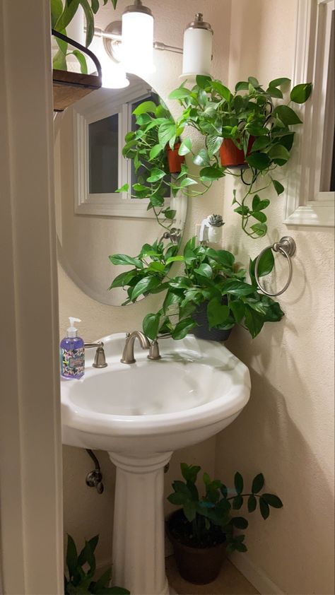 Plant In Bathroom Small Spaces, Bathroom Decor Plants Small Spaces, No Sunlight Room Ideas, Plant Theme Bathroom, Vines In Bathroom, Shower Plants Bathroom, Plants In Shower Ideas, Plant Bathroom Aesthetic, Bathroom With Plants