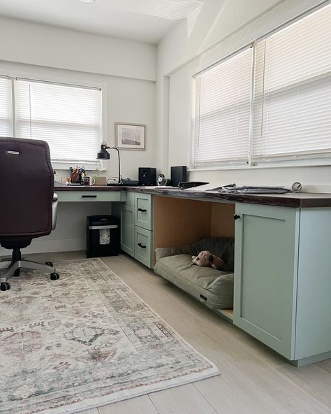 Do you have an office that meets all your needs? This is the ideal workspace for this client. It was designed to accommodate every aspect of his demanding remote job. Even his sweet companion got a spot 🐶 #workgoals #workfromhome #carolinanielsenhome #venicefl #sarasotaflorida #wellington #officesetup #productivityhacks #workspacesolutions Home Office Dog Room, Home Office And Dog Room, Dog Office Space, Office And Dog Room, Office Dog Room, Dog Spaces, Dog Room, Work Goals, Work Room