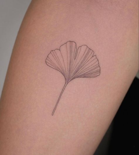 Fine Line Gingko Tattoo, Ginko Leaf Tattoos Meaning, Ginko Leaf Tattoos Design, Ginko Leaf Tattoo Minimalist, Ginkgo Tattoo Minimal, Ginko Biloba Tattoo, Ginko Leaves Tattoos, Ginko Leaf Design, Ginko Leaf Tattoo