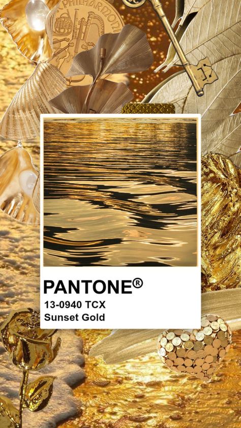 Sunset gold #sunset #gold #yellow #pantone #colour #bright #sun #vintage #slay #art #shine #cool #girlboss Sunset Mood Board Fashion, Gold Tones Palette, Golden Pantone, Yellow Mood Board, Gold Colour Palette, Mood Board Fashion Inspiration, Sun Vintage, Gold Color Palette, Yellow Pantone