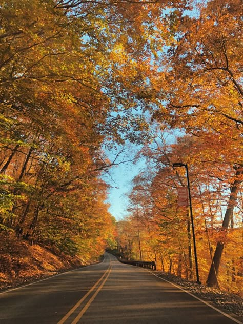 Crisp Autumn Morning Aesthetic, Autumn Mountain Aesthetic, Sunny Fall Aesthetic, Hygge Autumn, Aesthetic Fall Vibes, Fall Outside, Cozy Fall Aesthetic, Studera Motivation, Fall Sunset