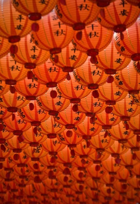 Japanese orange lanterns Orange Aesthetics, Image Zen, Orange Lanterns, Foto Macro, Aesthetic Orange, Japanese Lanterns, Jaune Orange, Rainbow Aesthetic, Orange You Glad